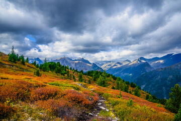 autumn in the mountains