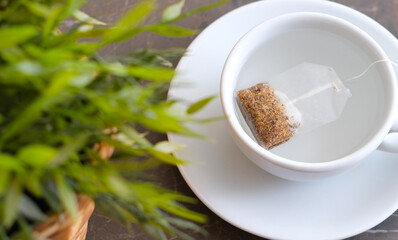 Herbal tea next to the flower pot on the patterned marble