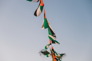 UAE Waving Flags on UAE National Day