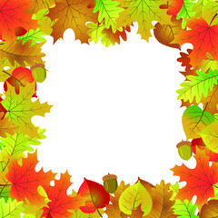 Autumn square frame made of maple linden oak leaves and acorns.