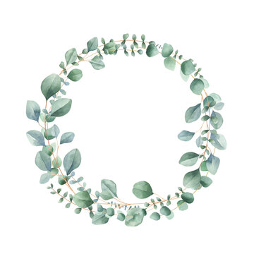 Watercolor eucalyptus wreath isolated on white background. Perfect for wedding invitations, greeting cards. 