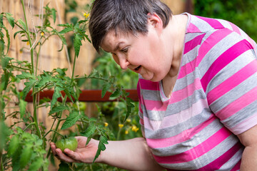 mentally handicapped woman looks at an unripe tomato in the raised bed