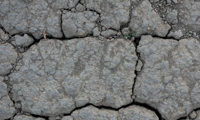 Close up of dry cracked ground on a summer day. The problem of a lost crop due to drought. the soil is cracked without moisture. selective focus