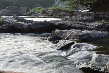 Closeup shot of a river in a fores