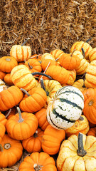 Pumpkins of different shapes and colors on straw in a store