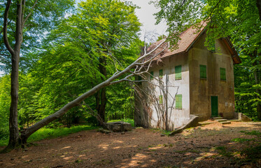 Fototapeta na wymiar Isolated house under a beech forest, province of Genoa, Italy