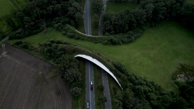 Cars passing underneath wildlife crossing forming a safe natural corridor bridge for animals to migrate between conservancy areas. Environment nature reserve infrastructure eco passage.