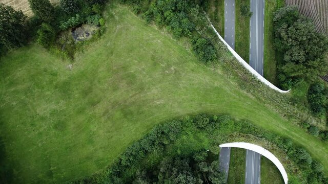 Top down aerial of cars passing on road traversed by wildlife crossing forming a safe natural corridor bridge for animals to migrate between conservancy areas. Environment infrastructure eco passage.