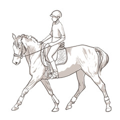 Hand drawn illustration of young woman horse rider with helmet performing equine training, sport horse riding, vector illustration