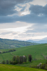 Obraz premium View of the villages of Tysków and Radziejów and the peaks of the high Bieszczady Mountains, Bieszczady Mountains, Baligród