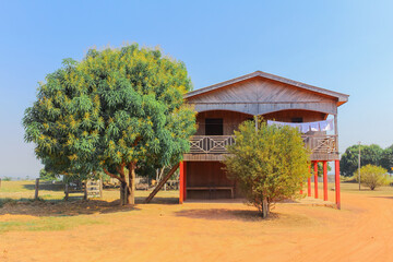 Amazon Traditional House