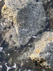 water in the rocks. The ocean bubbles bouncing off the rocks in the ocean.