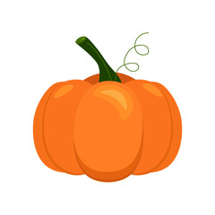 Vector illustration of orange pumpkin on white background. Autumn halloween or thanksgiving pumpkin, vegetable health food graphic icon or print.