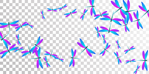 Magic blue purple dragonfly isolated vector wallpaper. Spring vivid damselflies. Wild dragonfly isolated baby illustration. Sensitive wings insects graphic design. Garden creatures