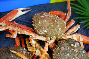 Sea spider crab for sale at a French seafood market in Brittany