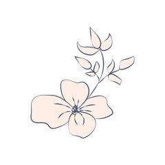 illustration brown beige nude flowers, one line drawing, line art, modern illustration and art, nature and plants minimalist design