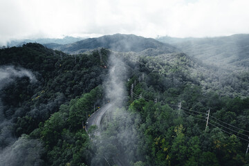Fototapeta na wymiar road in the forest rainy season nature trees and fog