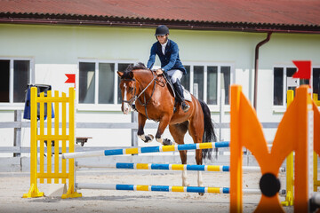 portrait of young gelding horse and adult man rider knocked jump pole during equestrian show...