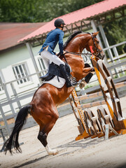 young gelding horse and adult man rider jumping during equestrian showjumping competition in...
