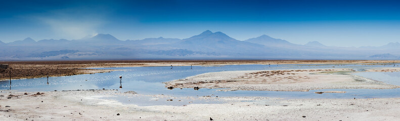 Panorama of Lake Chaxa near San Pedro de Atacama, Chile