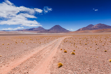 Beautiful scenario in the Atacama Desert, northern Chile, South America