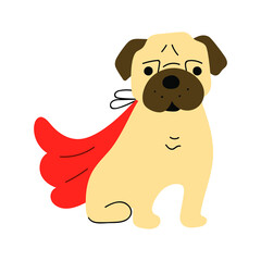 Pug wearing superhero cape. Hand drawn illustration on white background.