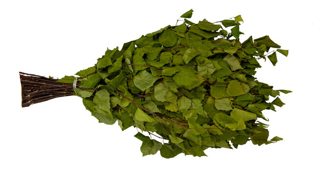 “Birch Broom” Images – Parcourir 183 le catalogue de photos, vecteurs