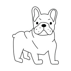 French bulldog. Outline vector illustration on white background.