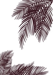 Palm tree silhouette in violet palette. Perfect background isolated on white for invitation, posters, wallpaper 