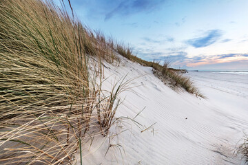 Beach grass on dune, Baltic sea at sunset