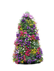 artificial tree from petunia flowers isolated on white background