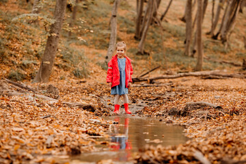 a little girl in a coat and red rubber boots walking in the autumn forest. High quality photo
