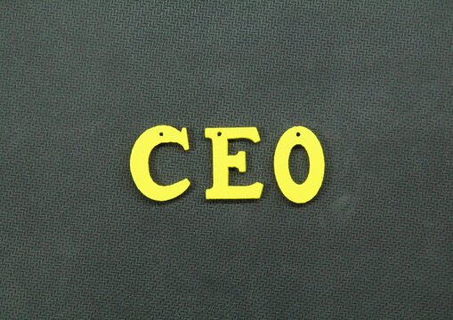 Letter From The CEO Or Chief Executive Officer