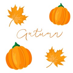 Vector set of autumn icons for any design with orange pumpkins and maple leaves.