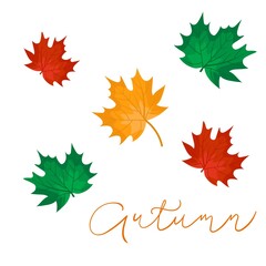 Vector set of autumn icons for any design with maple laeves