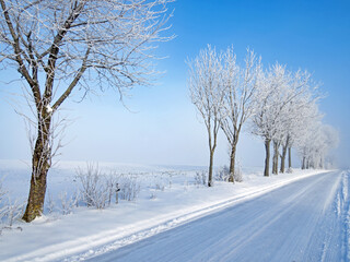 Straße durch verschneite Felder mit schneebedeckten Bäumen in Norddeutschland