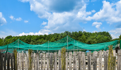 nets above the organic trout farming, Bondyrz, Roztocze, Poland