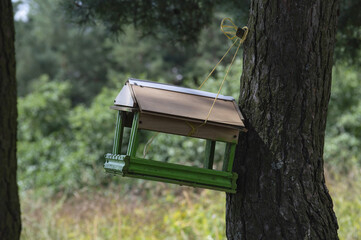 Bird feeder on a pine tree 