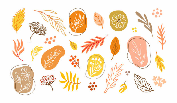 Autumnal minimalistic floral set of leaves, flowers and branches. Abstract fall winter clipart graphic collection. Use for branding, logo design, social network avatars. EPS 10 vector illustration.