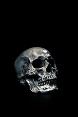 Human Skull on black background