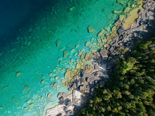 Fototapeta na wymiar Aerial view of a crystal clear see through turquoise water, white sand beach and green pine trees forest, straight down perspective. Shot with drone. Space for copy. Georgian Bay, Bruce Peninsula.