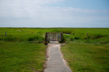 salt marshes at the north sea in germany near st peter ording and westerhever sand