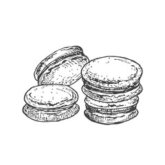 Macarons Sweets Hand Drawn Doodle Vector Illustration. Confectionary Sketch Style Drawing. Isolated