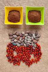 Spice blend made of raw cocoa and dried chili pepper. Spicy cacao condiment top view.