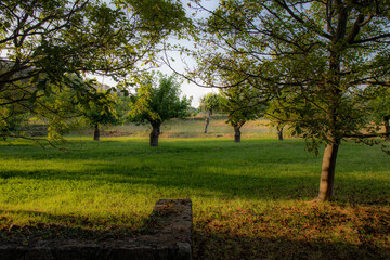 Village of Soudorgues in the Cevennes mountains (South of Massif Central, France)
