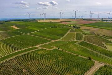 Bird's eye view of vineyards in Rheinhessen / Germany near Flonheim and wind turbines in the background