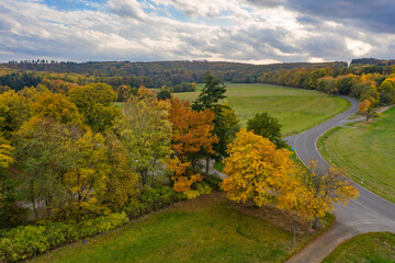 Autumnal discolored trees under a cloudy sky in the Taunus / Germany in Hesse