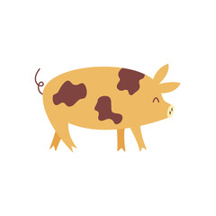 Cute pig is walking. Colorful vector isolated animal illustration hand drawn. Farming. Livestock, village life. Happy piglet