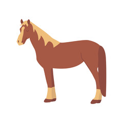 Brown horse. Elegant herbivore. Colorful vector isolated illustration hand drawn. Farm animal, livestock