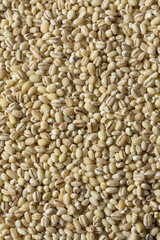 Raw Organic Dry Pearl Barley